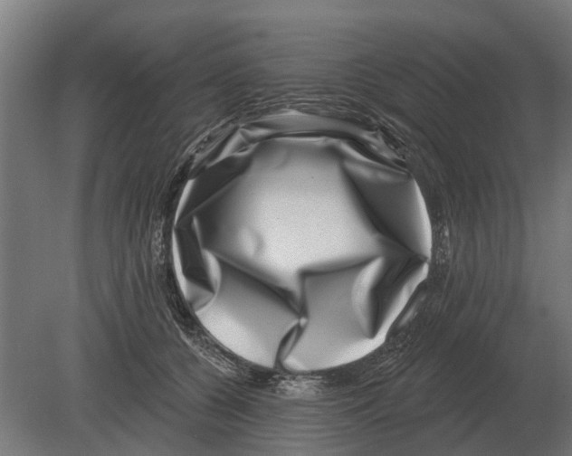 X0000080200560200701051751