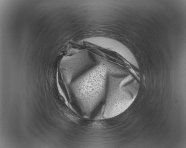 X0000080200566200701051752