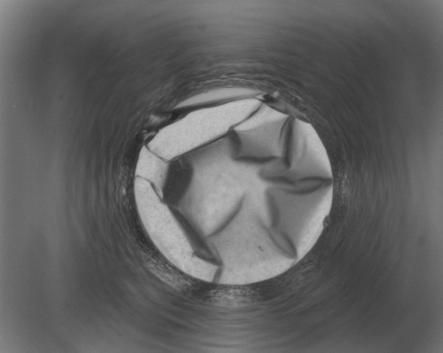 X0000080200567200701051752