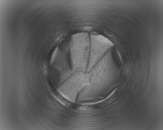 X0000080200568200701051752