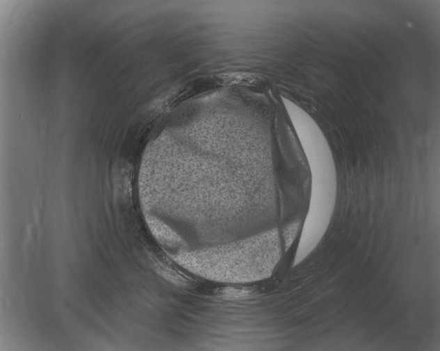 X0000080200570200701051752