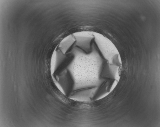 X0000080200572200701051752