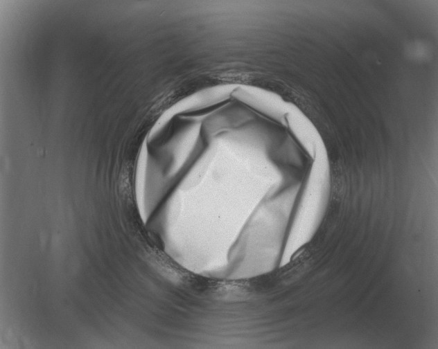 X0000080200573200701051752