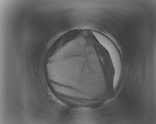 X0000080200577200701051751