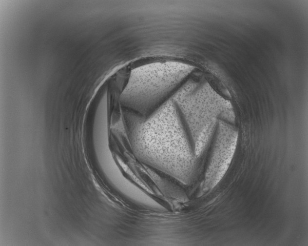 X0000080200580200701051751