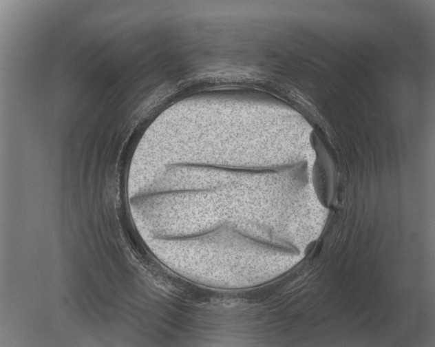 X0000080200582200701051751