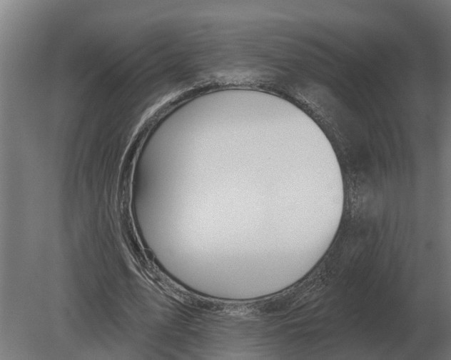 X0000080200583200701051751