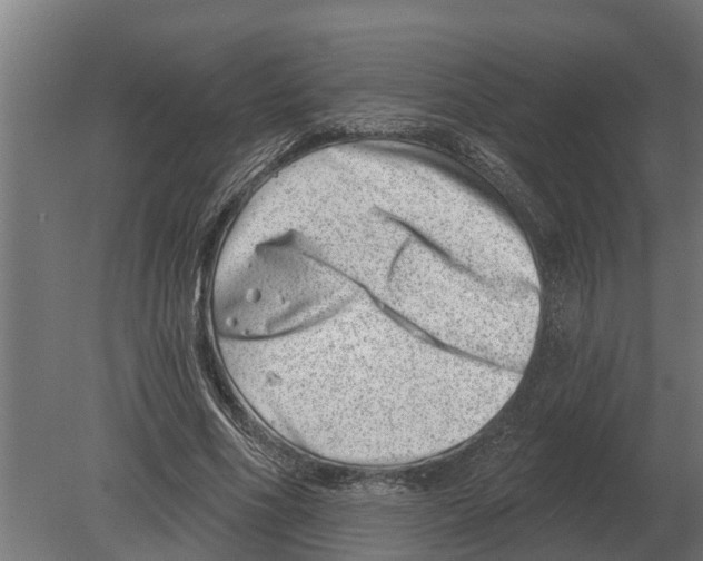 X0000080200586200701051751