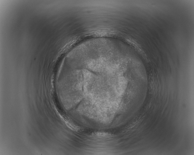 X0000080200590200701051751