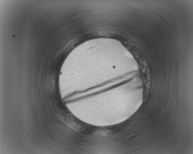 X0000080200595200701051751