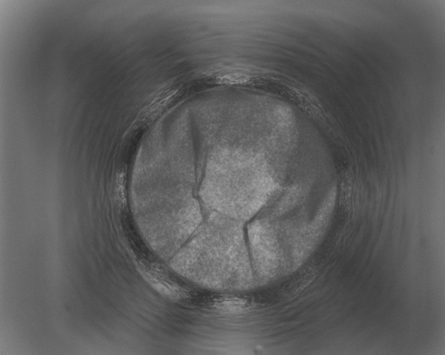 X0000080200598200701051751