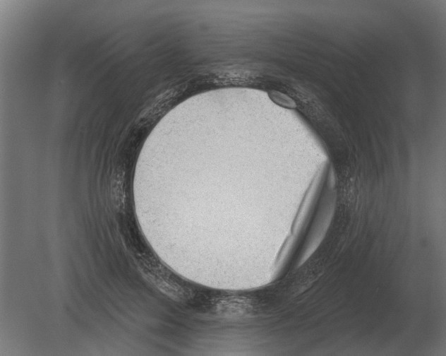 X0000080200599200701051751