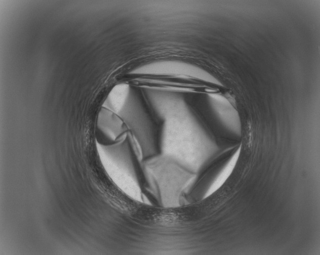 X0000080200600200701051751