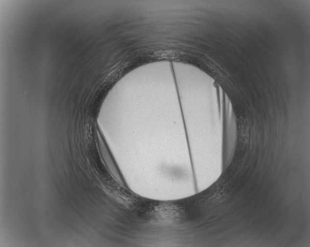 X0000080200603200701051751