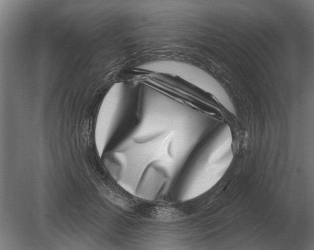 X0000080200605200701051750