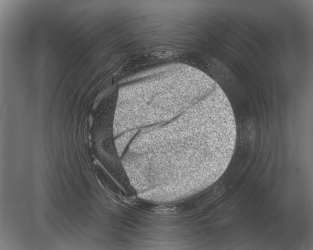 X0000080200606200701051750