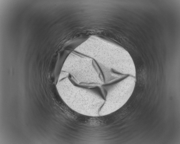 X0000080200608200701051750