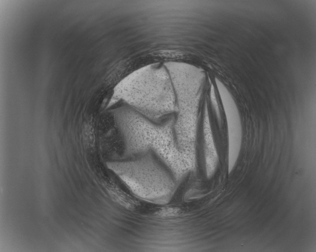 X0000080200609200701051750