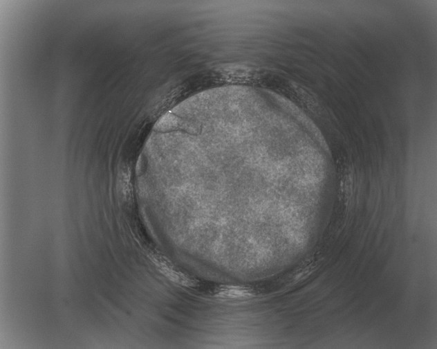 X0000080200610200701051750