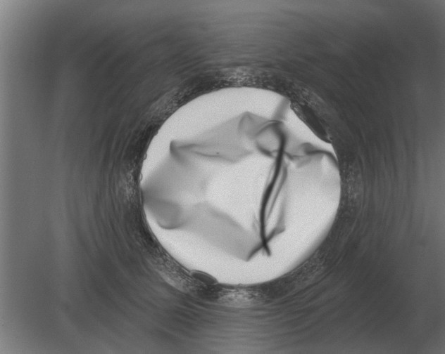 X0000080200611200701051750