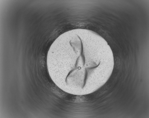 X0000080200612200701051750