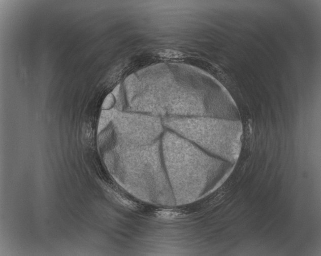 X0000080200614200701051750