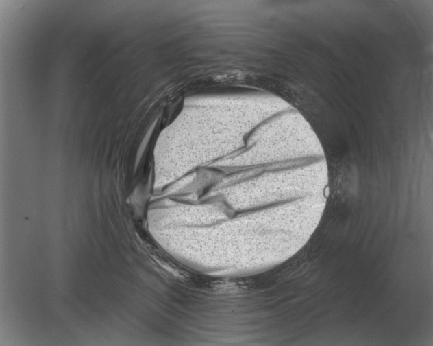 X0000080200616200701051750