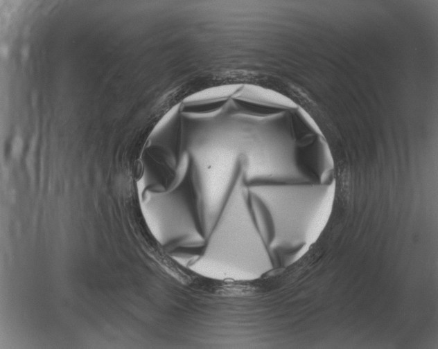 X0000080200617200701051750