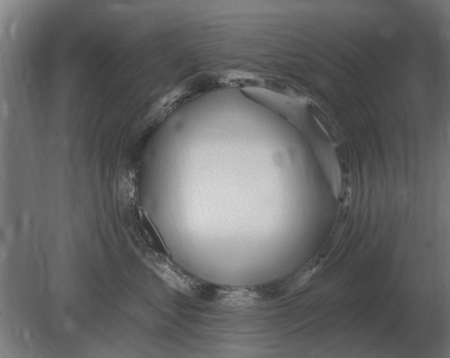 X0000080200621200701051750