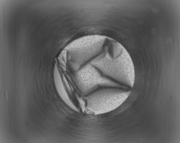 X0000080200624200701051750