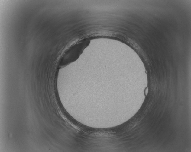 X0000080200625200701051749