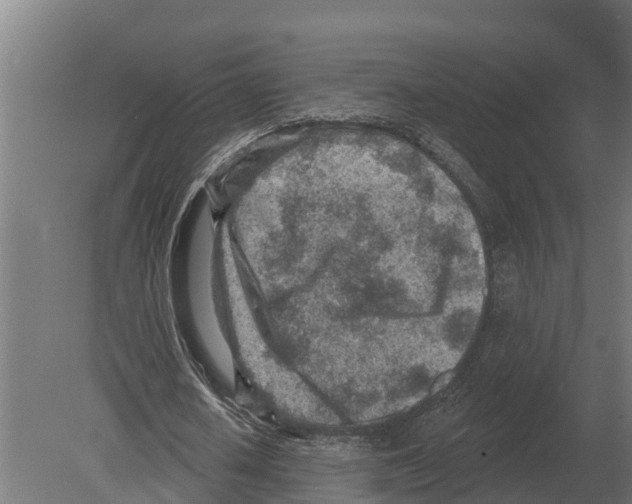 X0000080200626200701051749