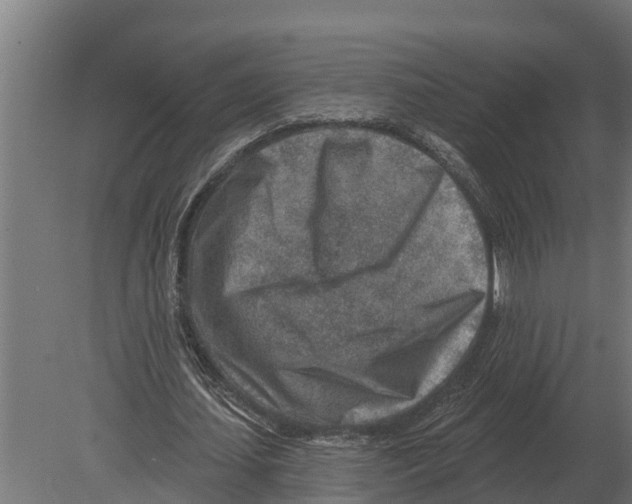 X0000080200627200701051749