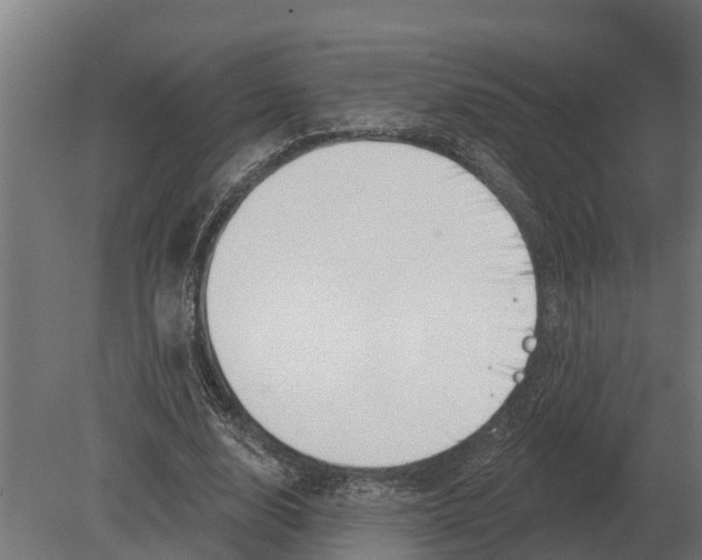 X0000080200632200701051749