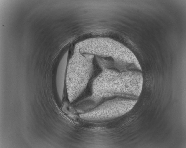 X0000080200637200701051750