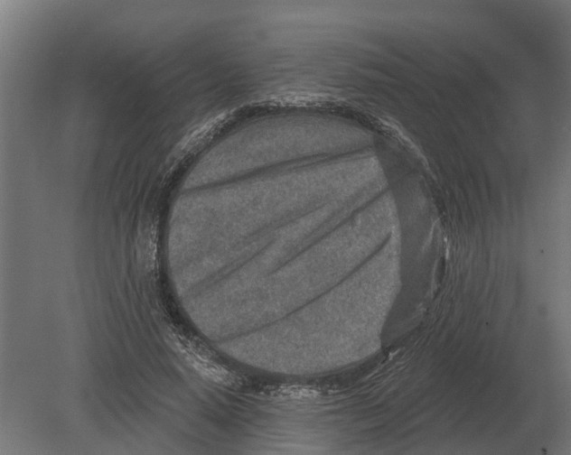 X0000080200640200701051750