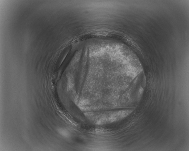 X0000080200641200701051750