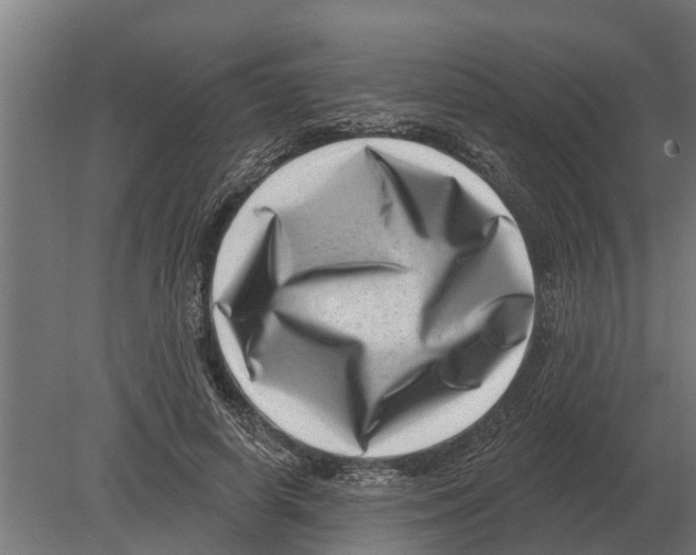 X0000080200642200701051750