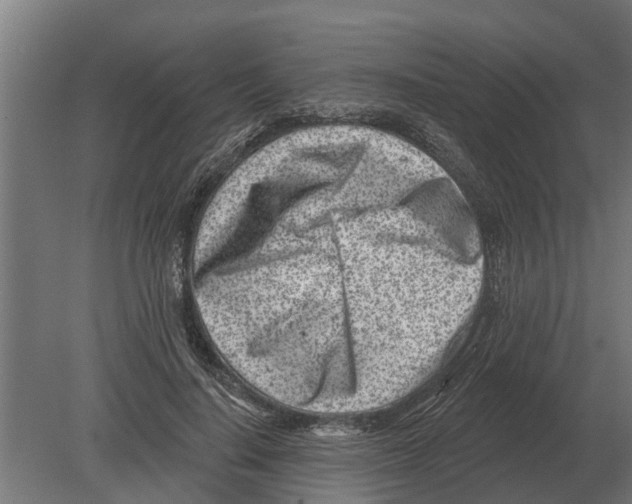 X0000080200644200701051750