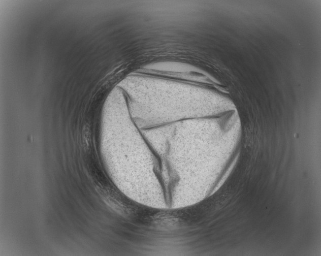 X0000080200648200701051750