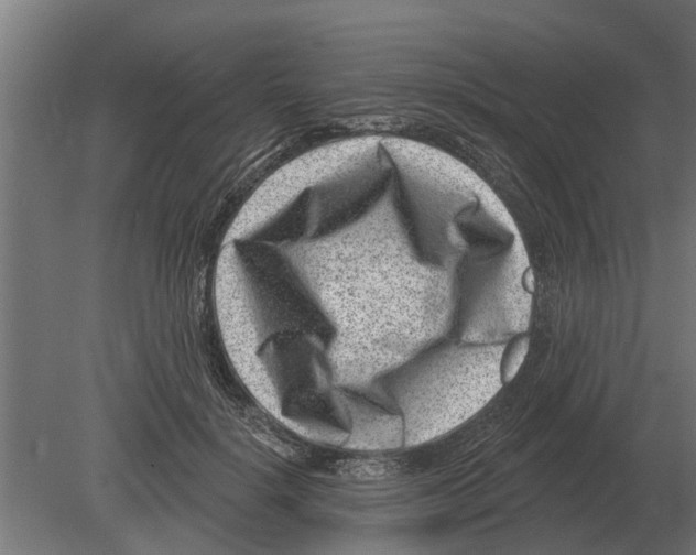 X0000080200652200701051750