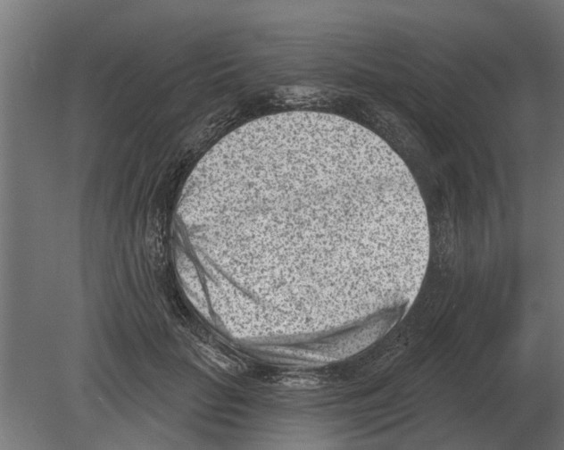 X0000080200653200701051750