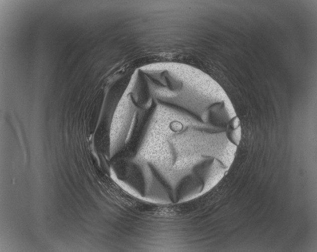 X0000080200656200701051750