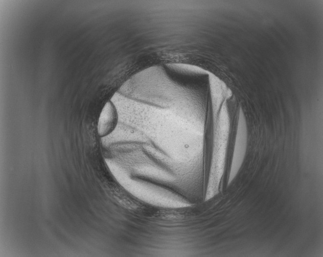 X0000080200658200701051750