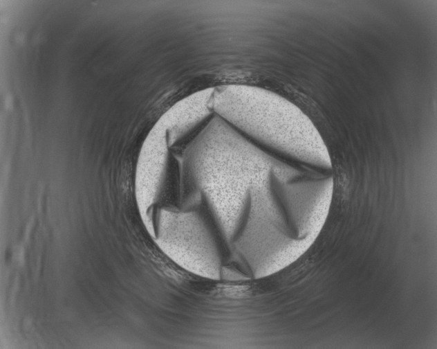 X0000080200665200701051750