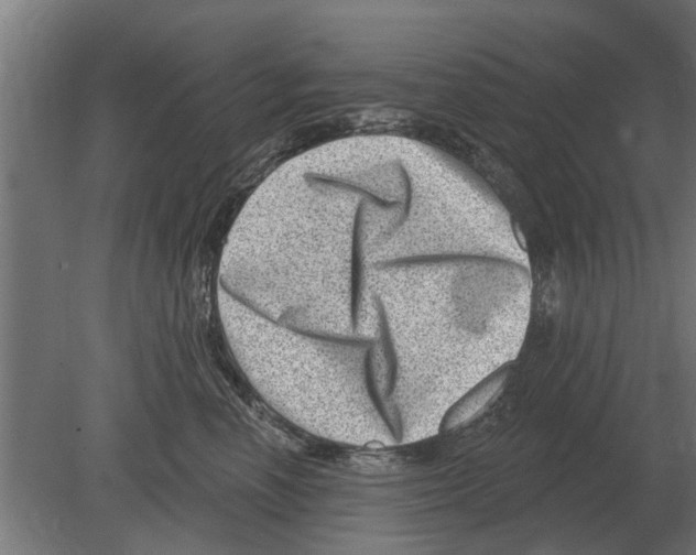 X0000080200666200701051750