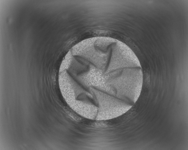 X0000080200668200701051750