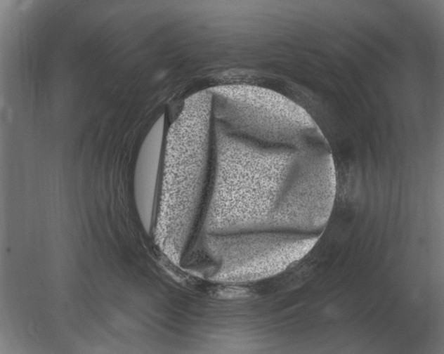 X0000080200669200701051750