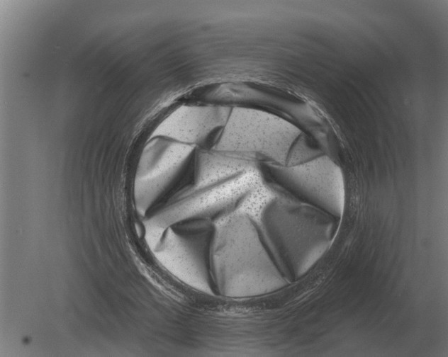 X0000080200677200701051749