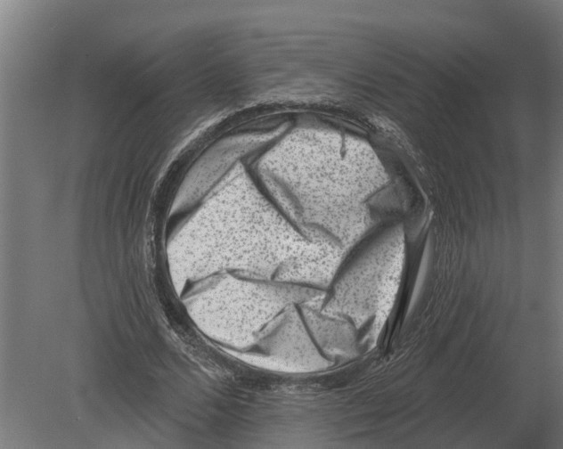 X0000080200680200701051749